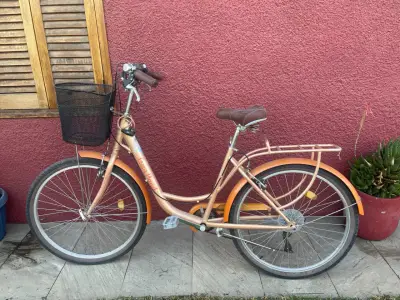 Bicicleta urbana con canasto metálico - miniatura 1
