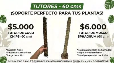 Tutores para plantas 60 cm - miniatura 1