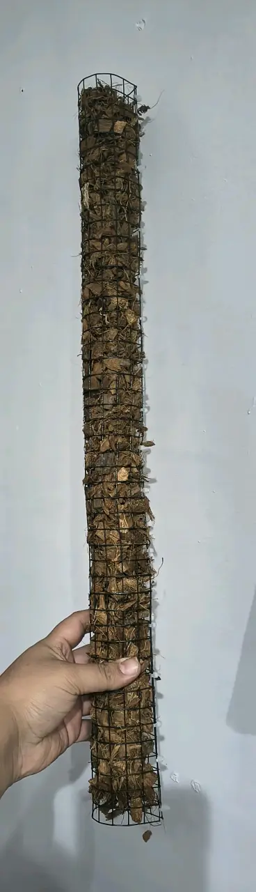 Tutores para plantas 60 cm - 2