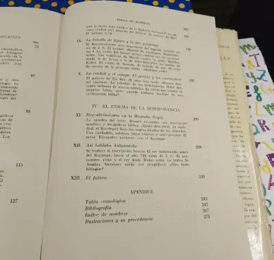 El Misterio De Los Hititas - C. W. Ceram - miniatura 6