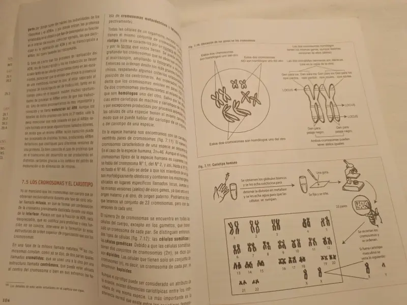 Libro preparación PAES Biología Ciencias UC - 6