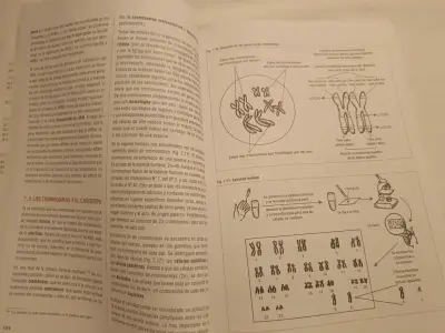 Libro preparación PAES Biología Ciencias UC - miniatura 6