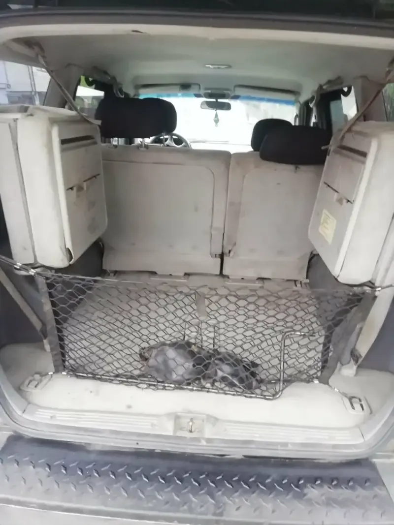Camioneta SUV todoterreno verde - 6