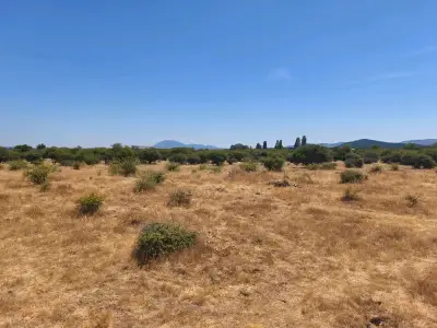 Parcela 5000 Mts2. - miniatura 1