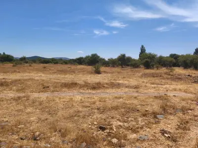 Parcela 5000 Mts2. - miniatura 4