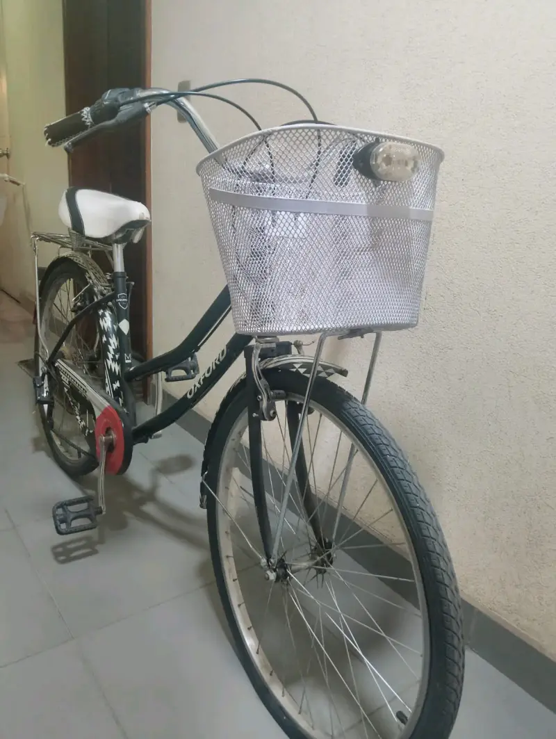 Bicicleta urbana con canasto