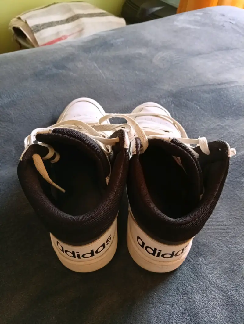 Zapatillas Adidas Hoops 3.0 Mid - 2