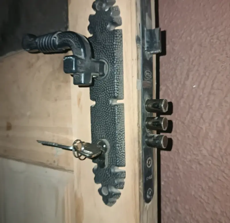 Puerta de madera pino oregón - 2
