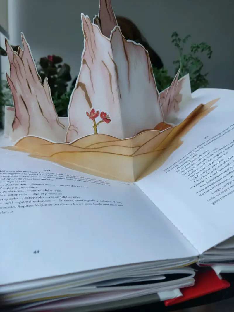 Libro El Principito con ilustraciones - 2