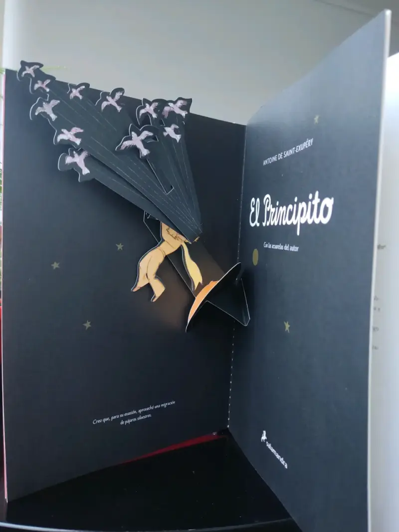 Libro El Principito con ilustraciones - 4