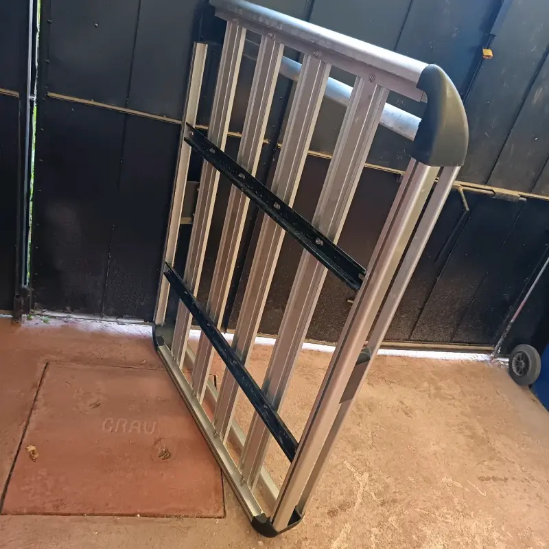 Parrilla más barras para auto - 3