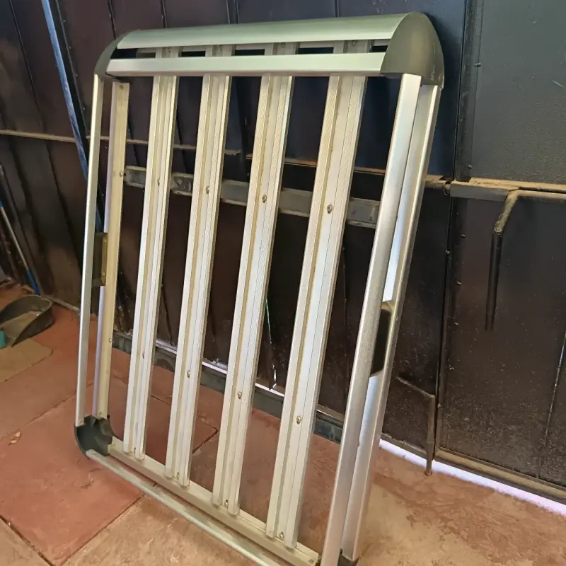 Parrilla más barras para auto - 5