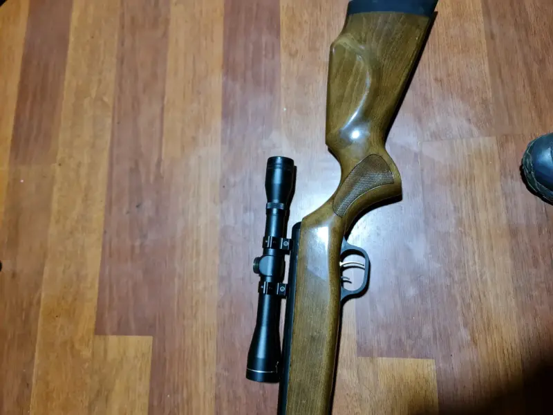Rifle de aire comprimido con mira - 2