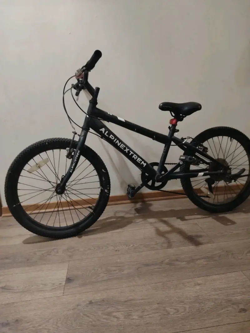 Bicicleta Alpina Negra