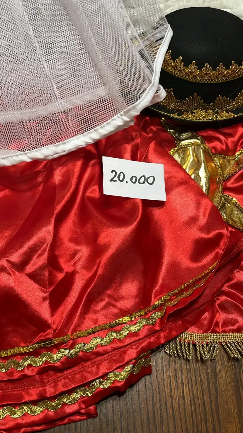 Disfraz folclórico chileno rojo
