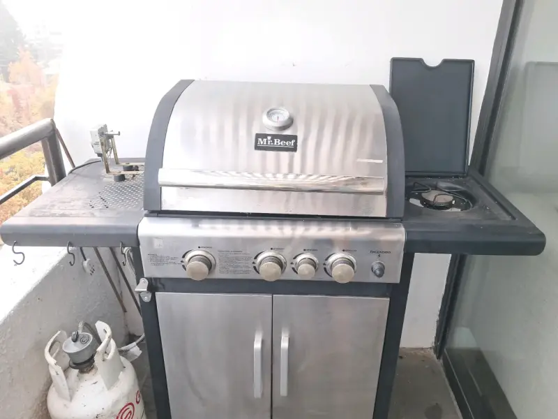 Parrilla a gas de acero inoxidable - 1
