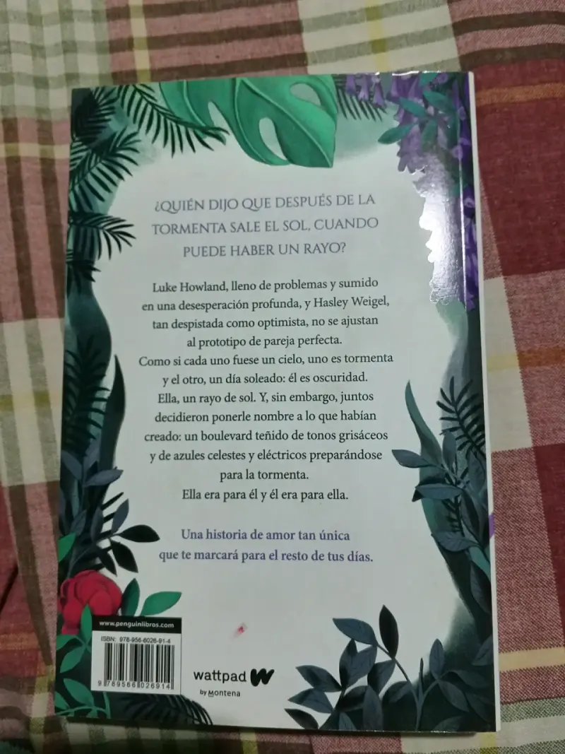 Libro Boulevard - Flor M. Salvador - 2