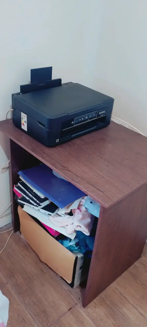 Impresora Epson con mueble - 3