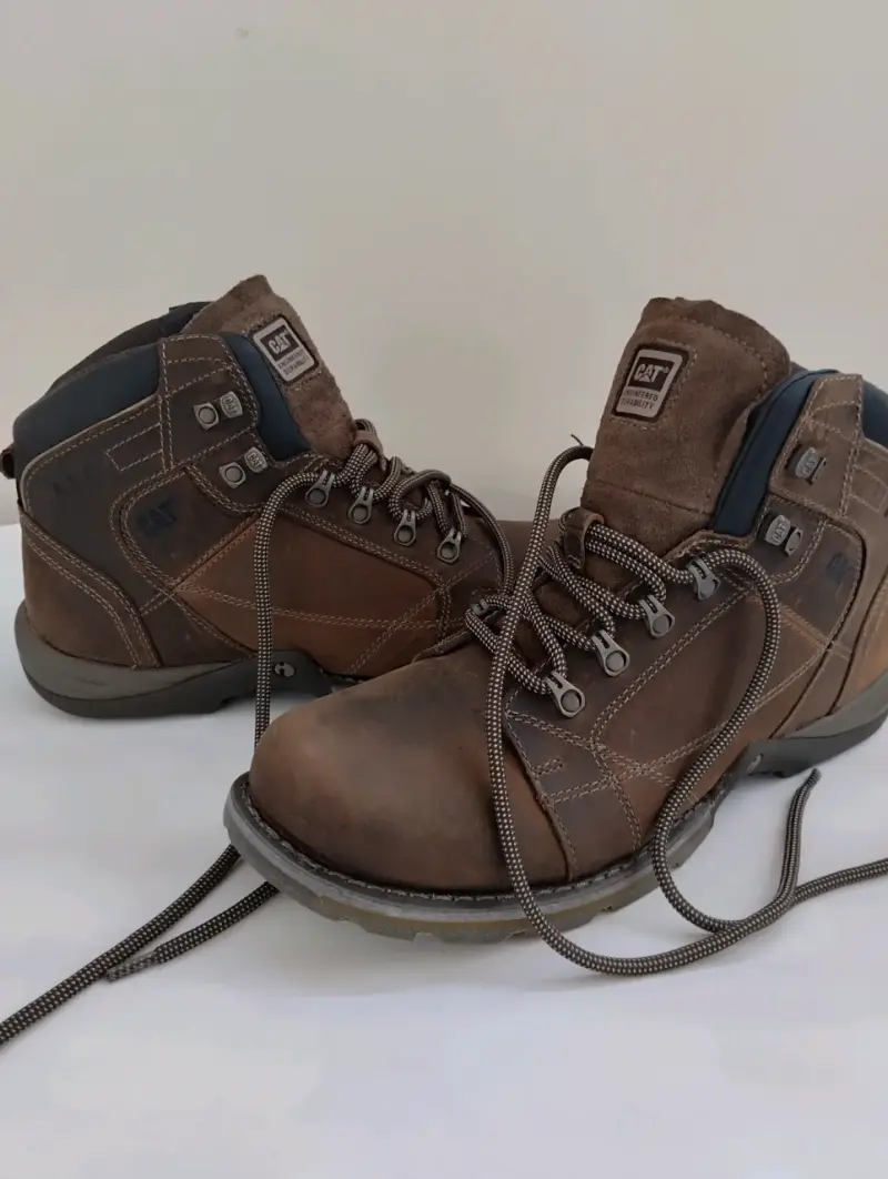 Botin CAT color cafe - 4