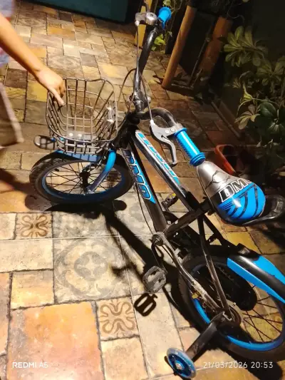 Bicicleta infantil con canasto - miniatura 1