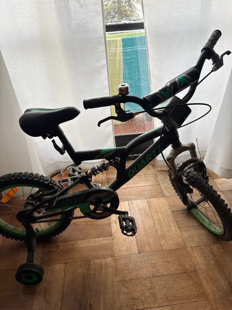 Bicicleta infantil negra y verde