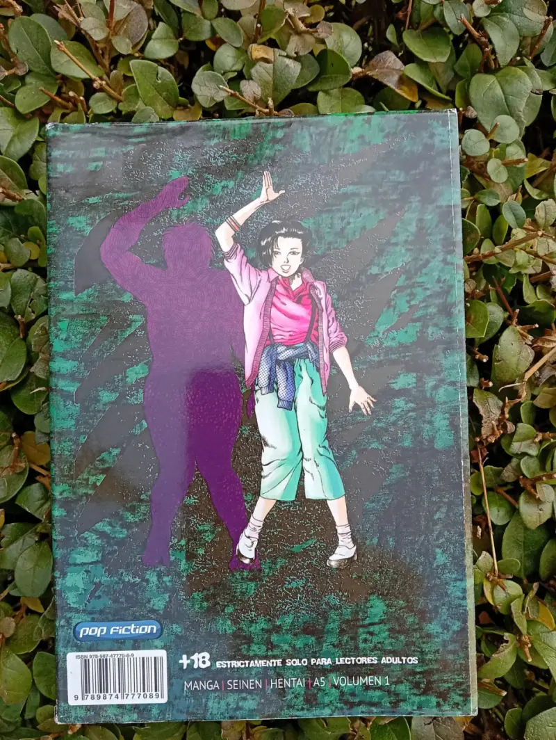 Manga Urotsukidoji vol. 1 - 2