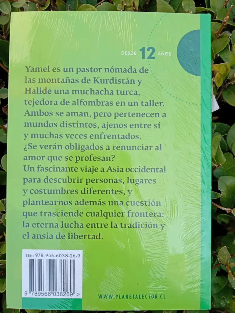 Libro Los Hilos Cortados - 2