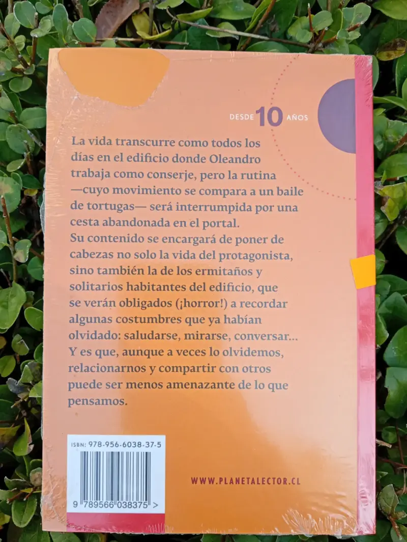 Libro Mensajeros de Francisca Solar - 2