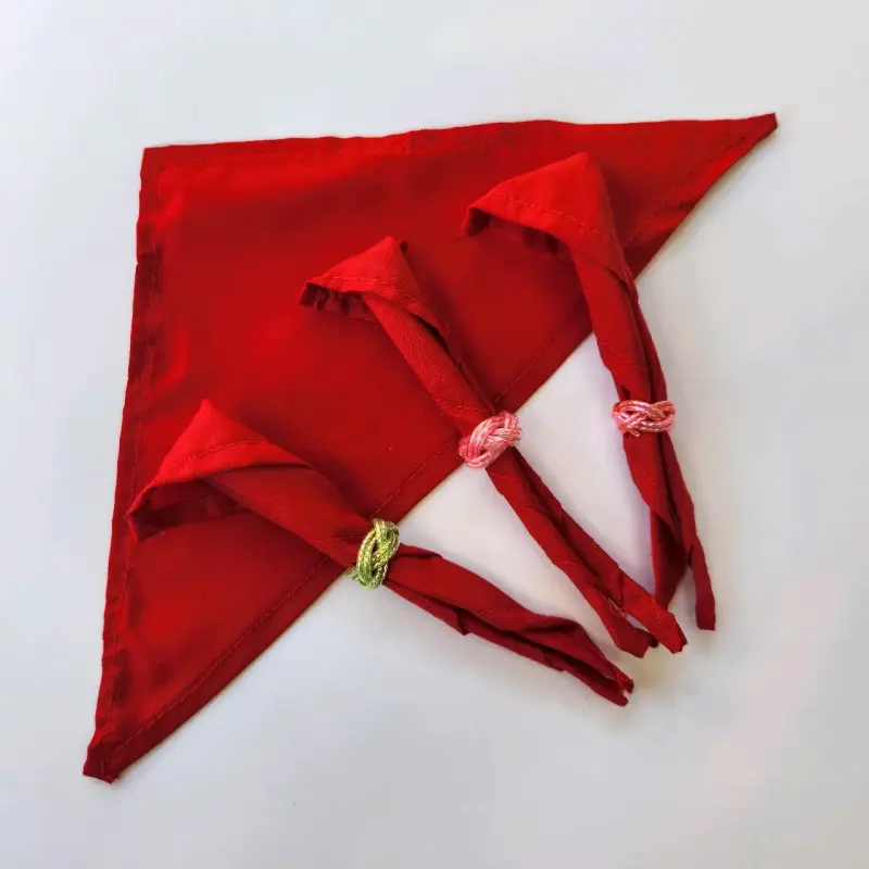 Pañuelo Scout - 6