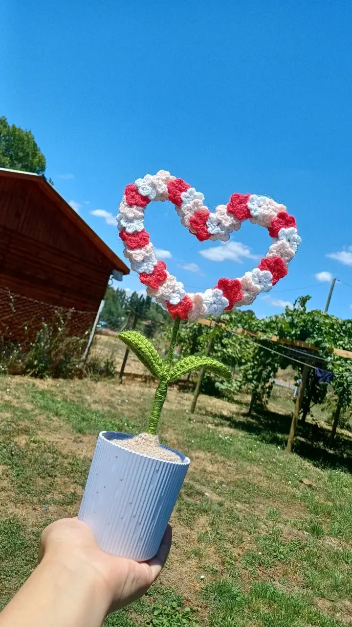 Planta decorativa de corazón - 1