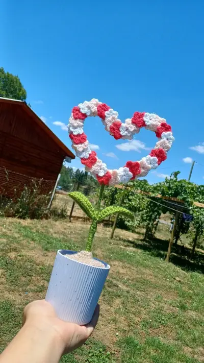 Planta decorativa de corazón - miniatura 1