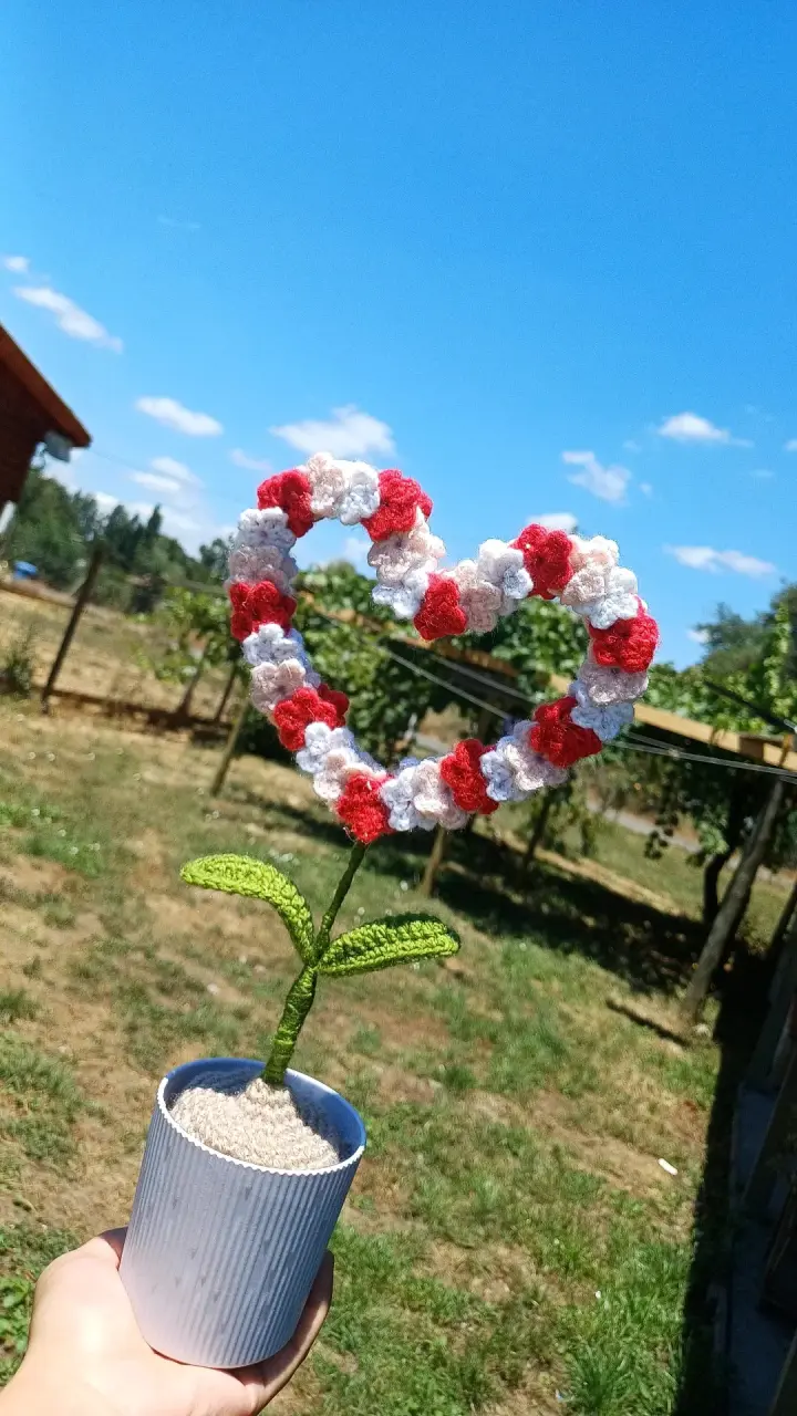 Planta decorativa de corazón - 2