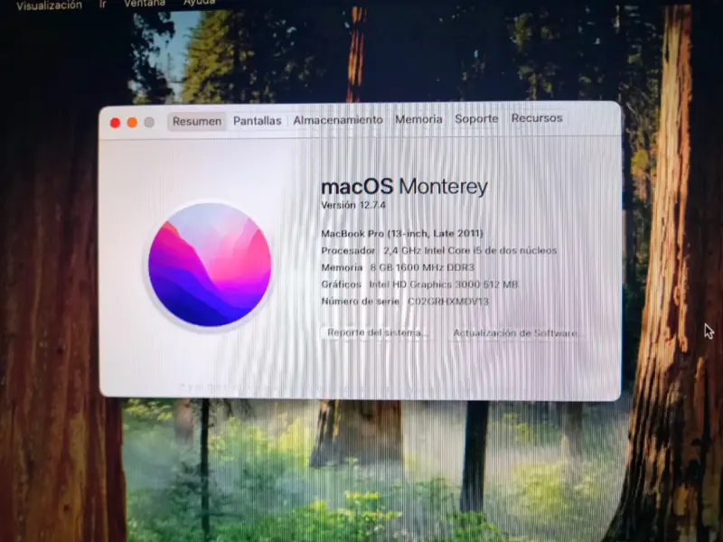 Laptop MacBook Pro 13 pulgadas - 2