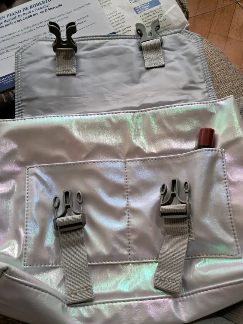 Bolso Plateado muy versátil - 3