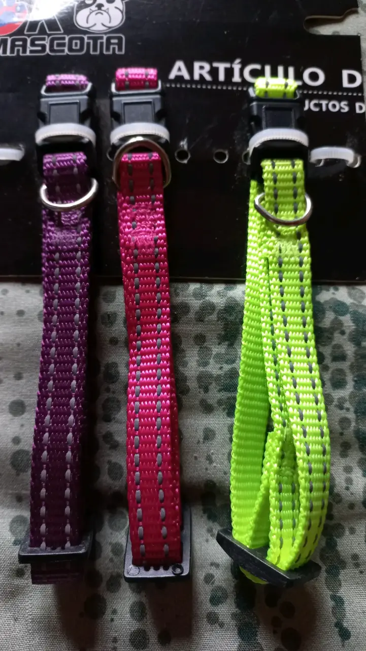 7Collares reflectantes para mascotas pequeñas - 2