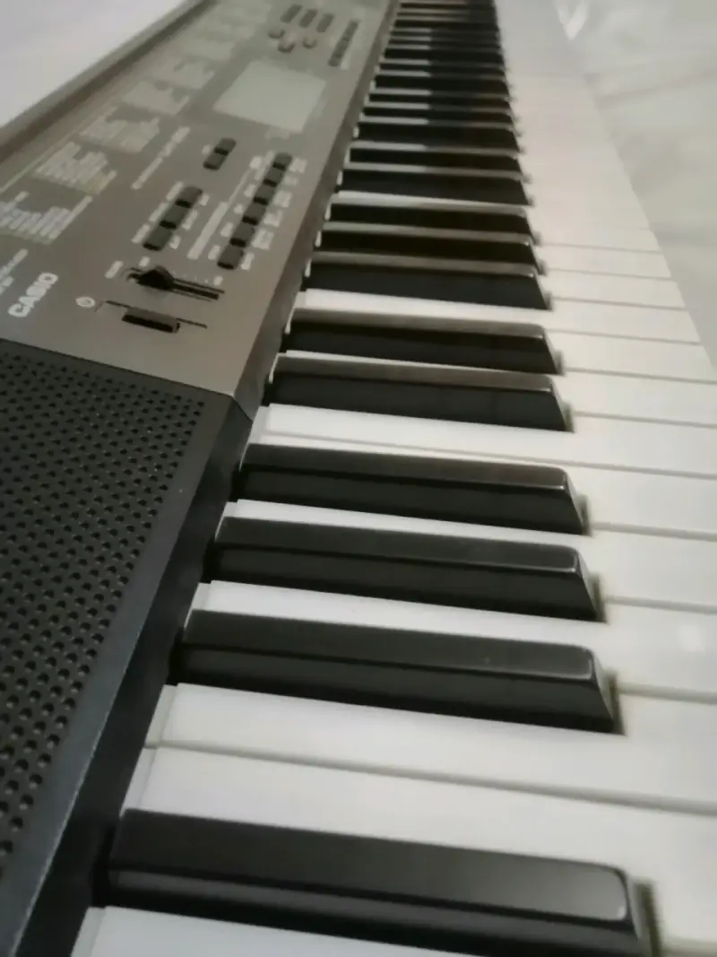 Teclado Electrónico Casio - 1