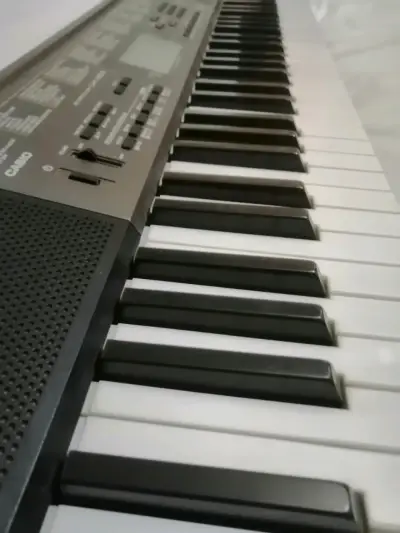 Teclado Electrónico Casio - miniatura 1