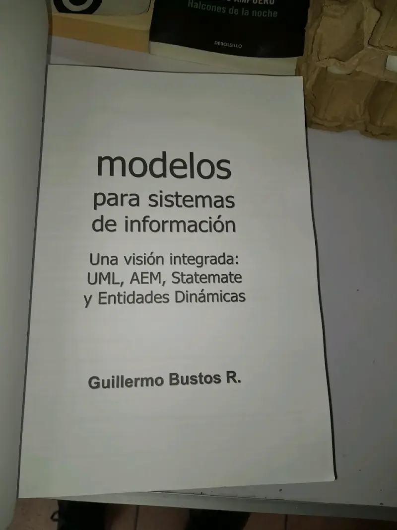 Libro sobre modelos para sistemas de información - 1
