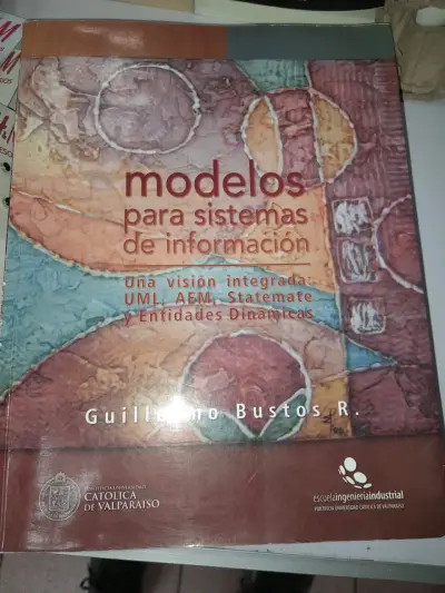 Libro sobre modelos para sistemas de información - miniatura 2