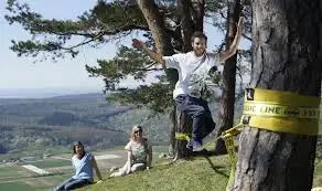 Slackline Cinta Equilibrio 15 metros con Ratchet - 5
