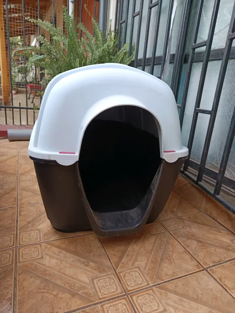 Casa para perro con techo removible - 1