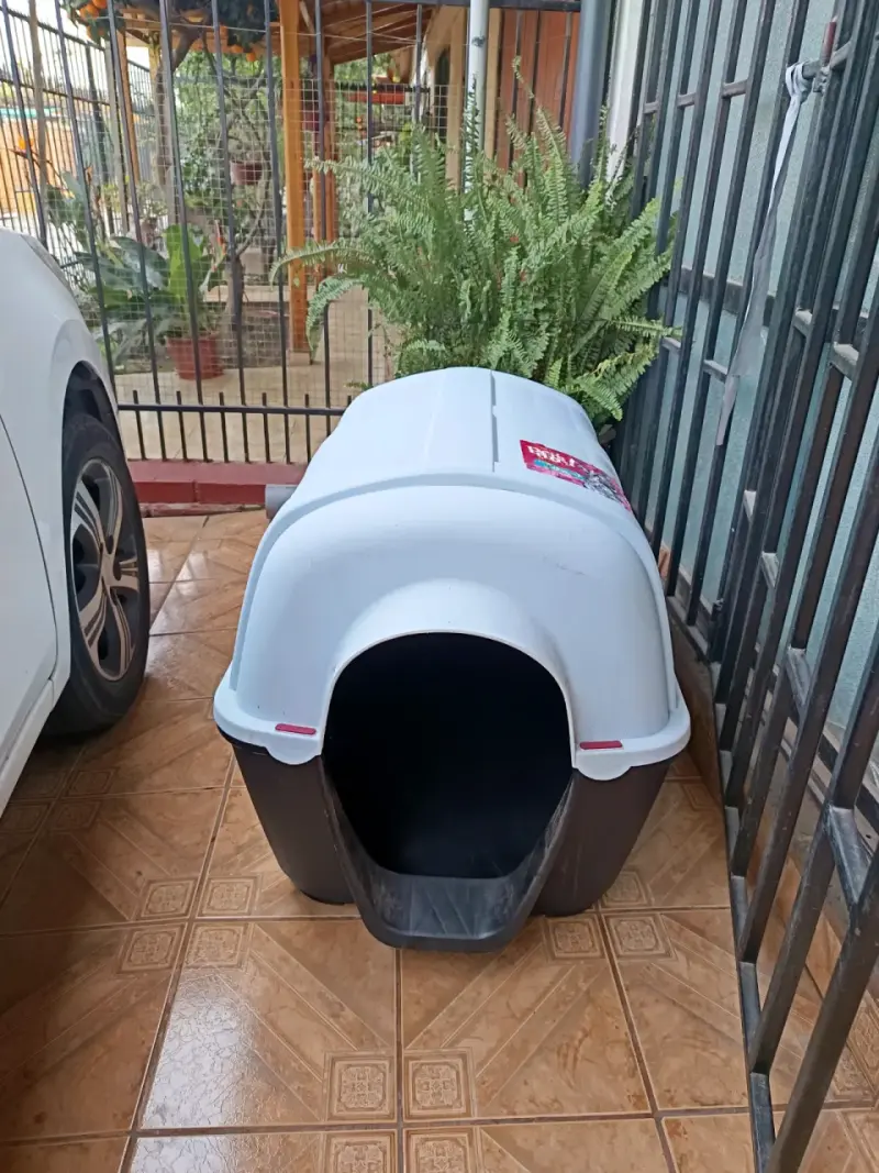 Casa para perro con techo removible - 2