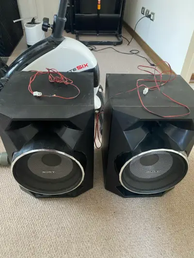 Parlantes Sony grandes - miniatura 1