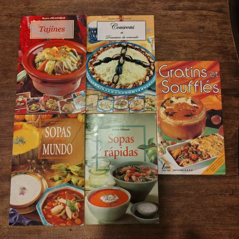 Lote de libros de cocina internacional