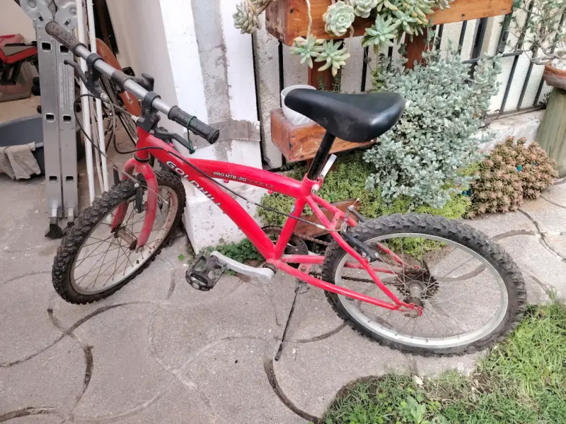 Bicicleta roja Goldhill
