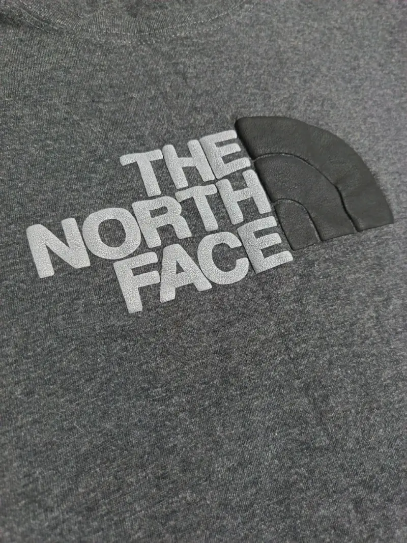 Polera gris The North Face - 3