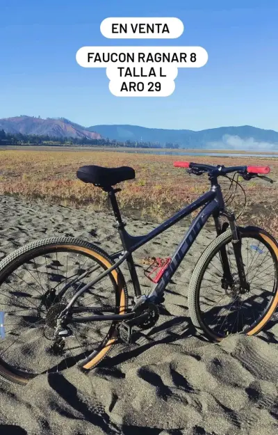 Bicicleta Faucon Ragnar 8 OFERTA - miniatura 1