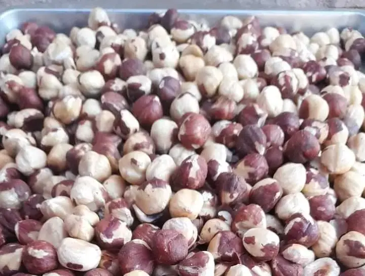 Avellanas europes tostada frescas a granel