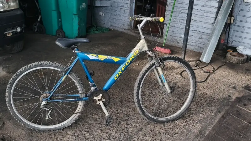 Bicicleta  Oxford Special Edition - 2