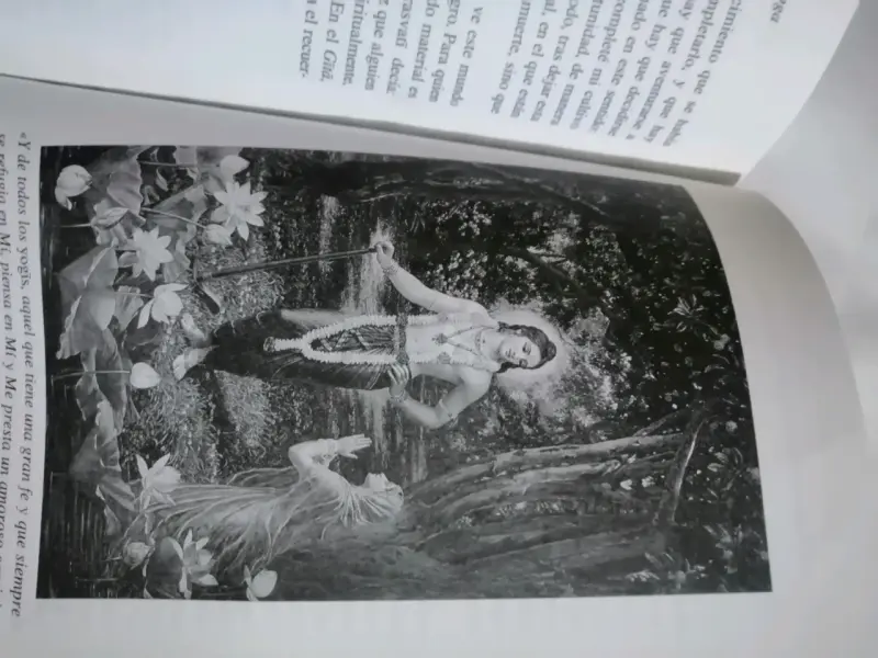 Set de libros de yoga y filosofía - 4